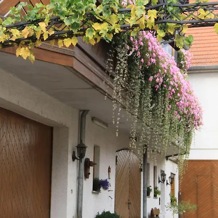 Weingut & Gaestezimmer Butzbach Bad Kreuznach