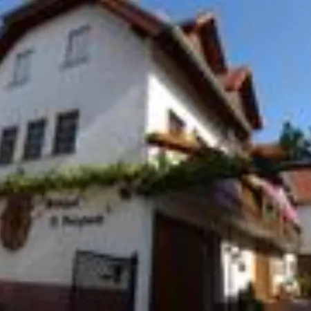 Weingut & Gaestezimmer Butzbach