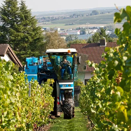 Weingut & Gaestezimmer Butzbach 3*
