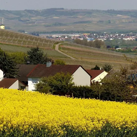 Maison d'hôtes Weingut & Gaestezimmer Butzbach Bad Kreuznach