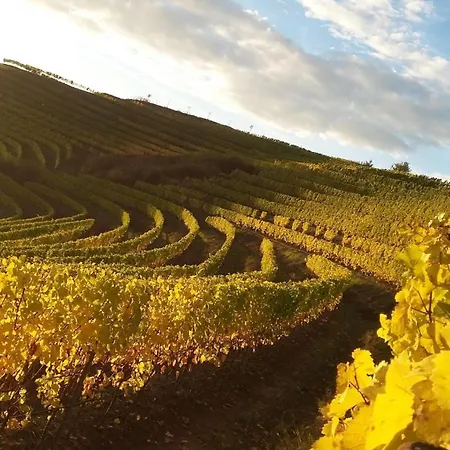 Weingut & Gaestezimmer Butzbach Maison d'hôtes 3*
