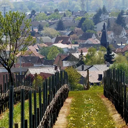 Maison d'hôtes Weingut & Gaestezimmer Butzbach Bad Kreuznach